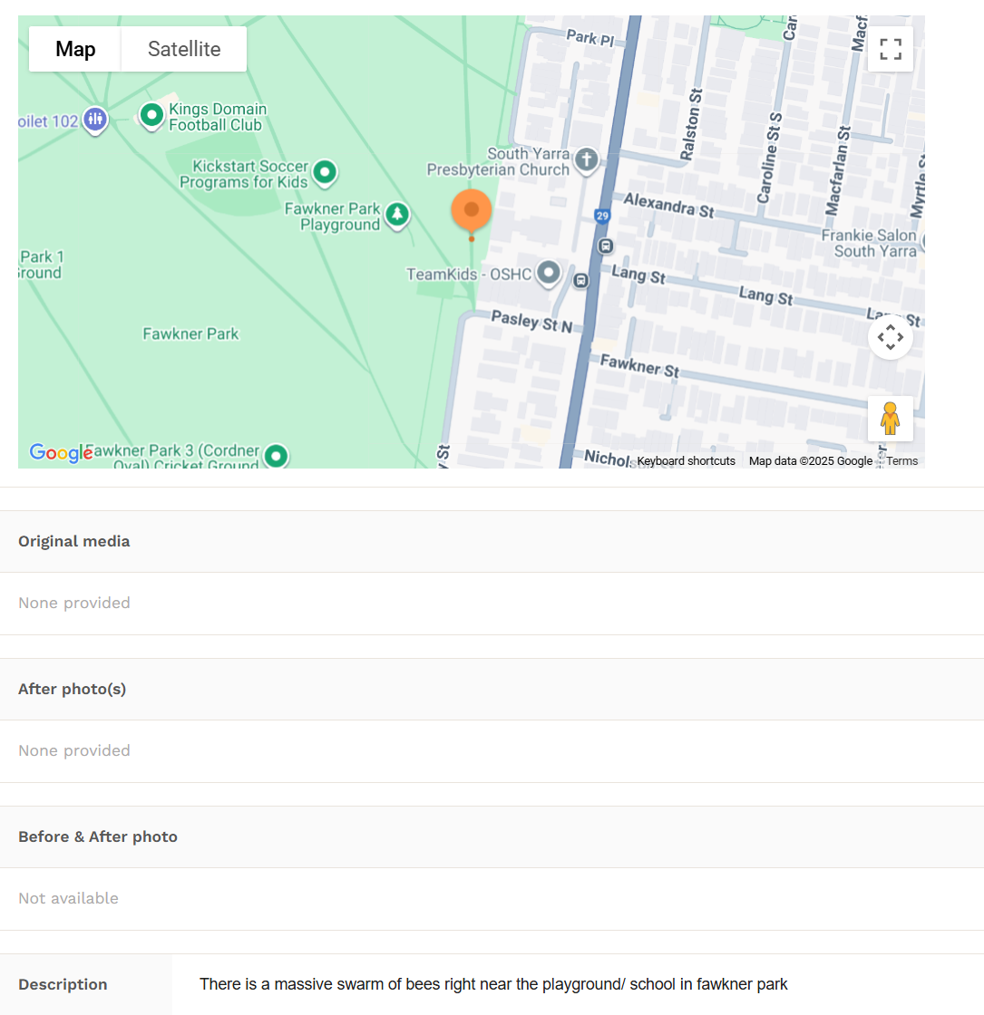 Swarm photo